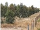 2 Unnamed Road, Cressy VIC 3322