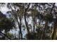 87 George Street, Lorne VIC 3232