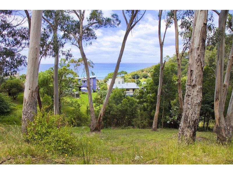 2 Neds Lane, Separation Creek VIC 3221