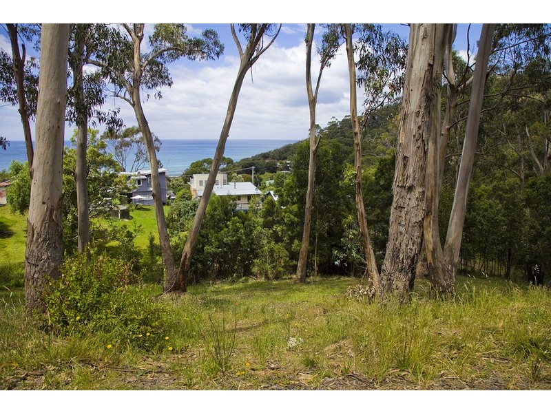 2 Neds Lane, Separation Creek VIC 3221