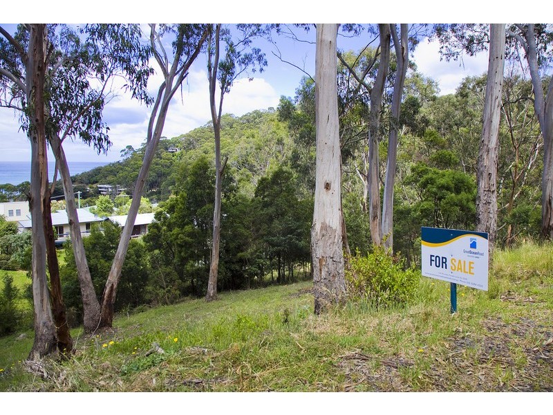 2 Neds Lane, Separation Creek VIC 3221