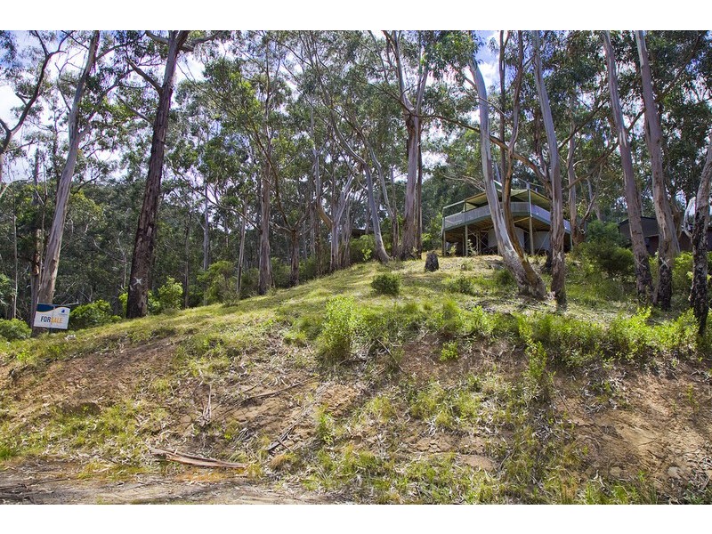 2 Neds Lane, Separation Creek VIC 3221