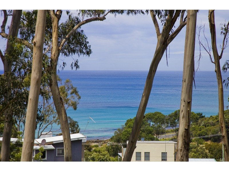 2 Neds Lane, Separation Creek VIC 3221