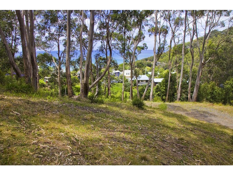 2 Neds Lane, Separation Creek VIC 3221