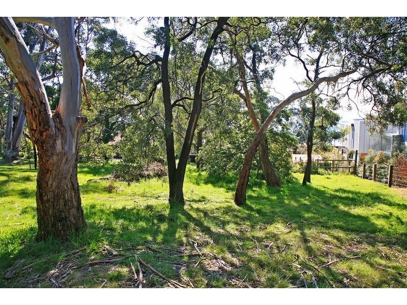 73 Charles Street, Lorne VIC 3232