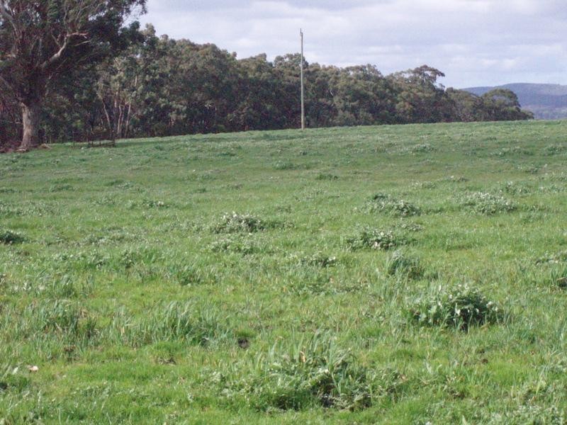 Lot 1/425 Seven Bridges Road, Gerangamete VIC 3243