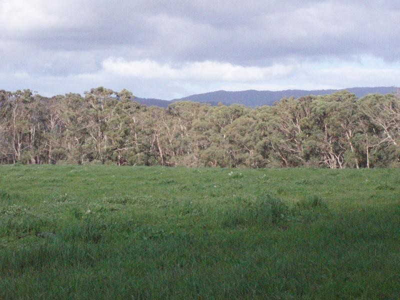 Lot 1/425 Seven Bridges Road, Gerangamete VIC 3243