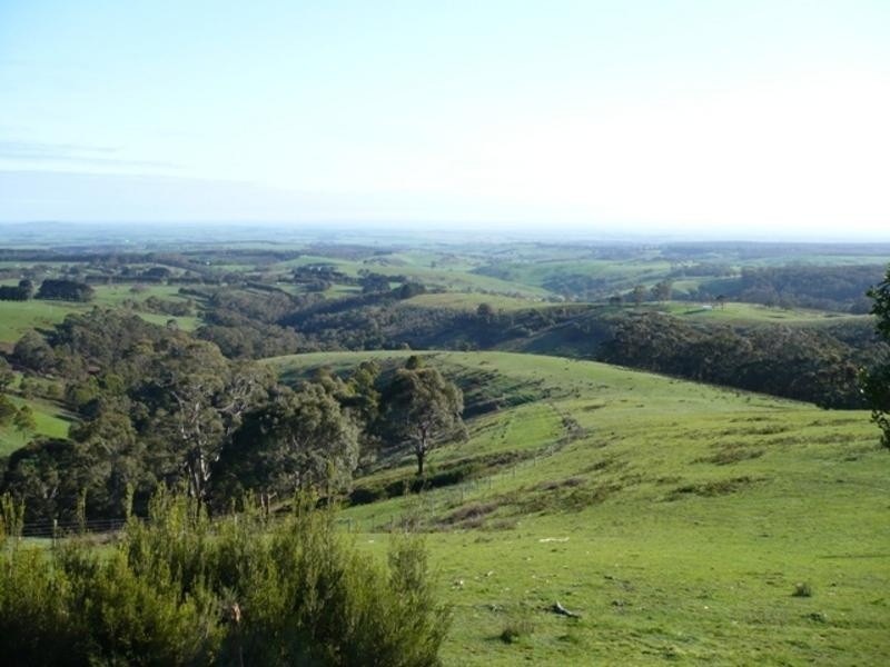 535 Bambra Cemetery Road, Bambra VIC 3241