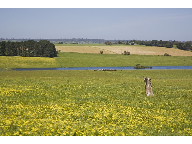 25 Collyers Road, Yeodene VIC 3249