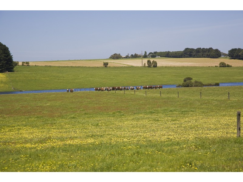 25 Collyers Road, Yeodene VIC 3249