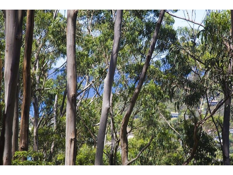 18 Dunoon Road, Wye River VIC 3221