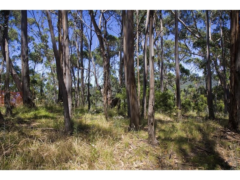 18 Dunoon Road, Wye River VIC 3221