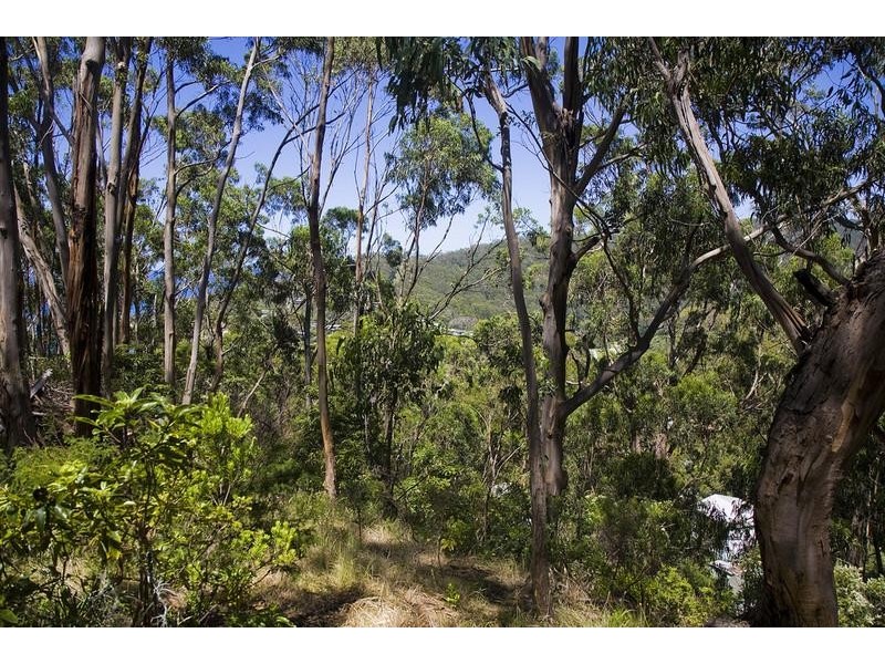 18 Dunoon Road, Wye River VIC 3221