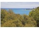 25 Dorman Street, Lorne VIC 3232