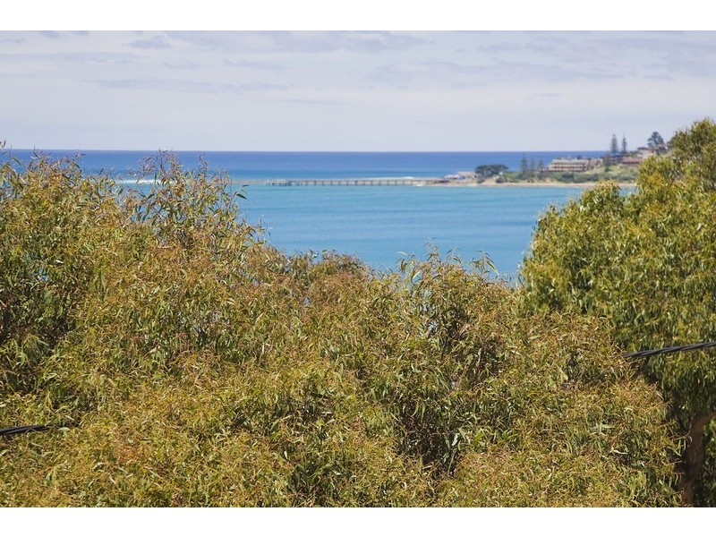 25 Dorman Street, Lorne VIC 3232