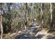 Lots 1 & 3 Iluka Extension, Wye River VIC 3221