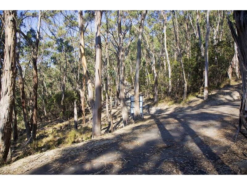 Lots 1 & 3 Iluka Extension, Wye River VIC 3221