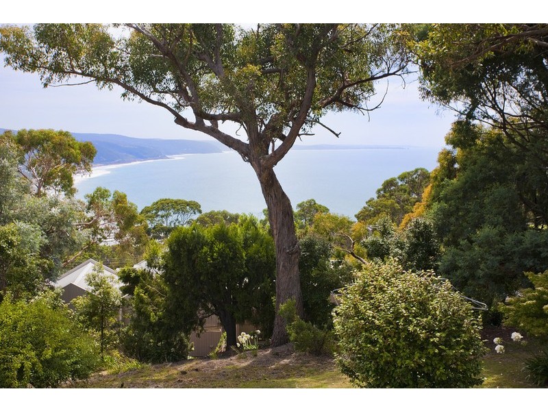 39-41  George Street, Lorne VIC 3232