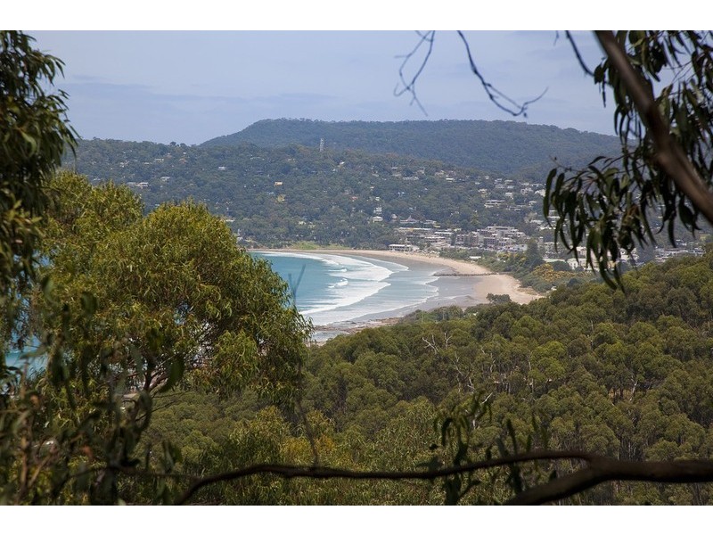 31 Summerhills Avenue, Lorne VIC 3232