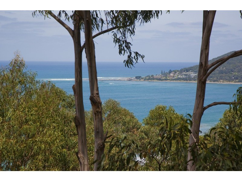 31 Summerhills Avenue, Lorne VIC 3232