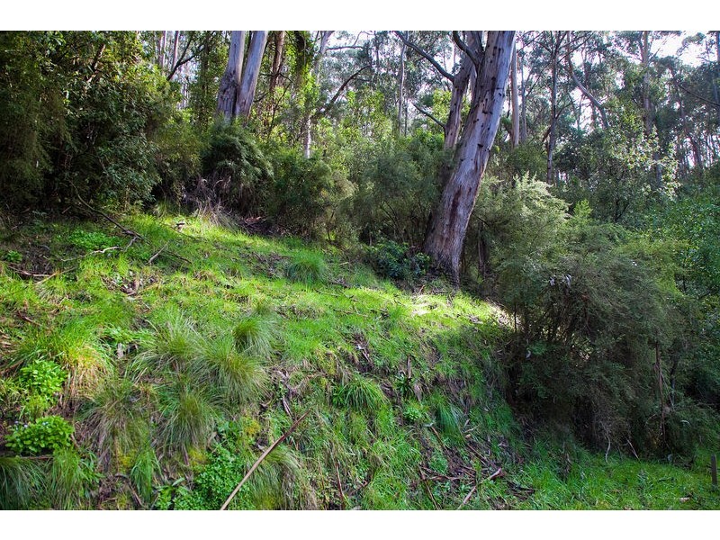 35 Karingal Drive, Wye River VIC 3221