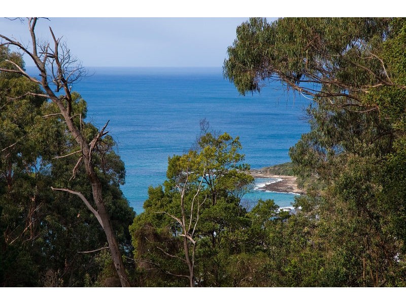 35 Karingal Drive, Wye River VIC 3221