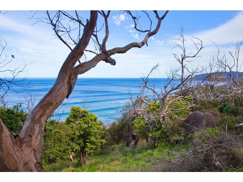 63 Morley Avenue, Wye River VIC 3221