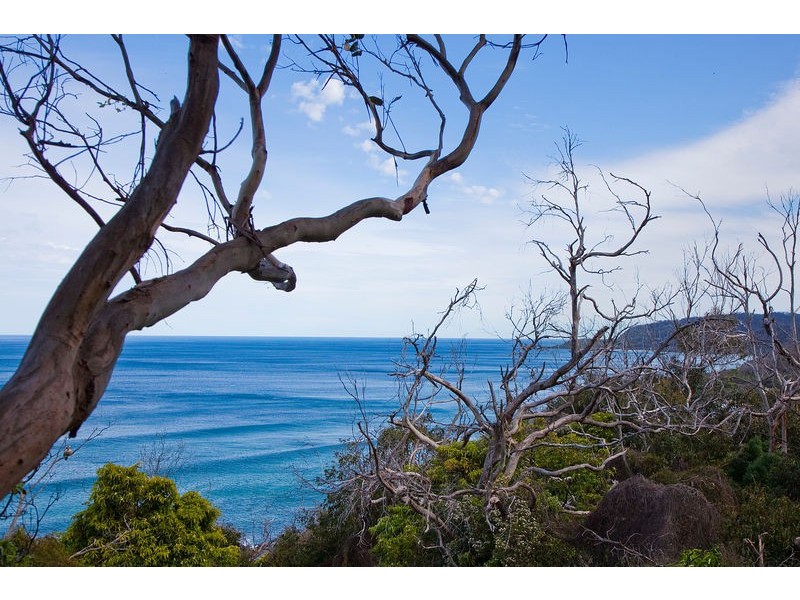 63 Morley Avenue, Wye River VIC 3221