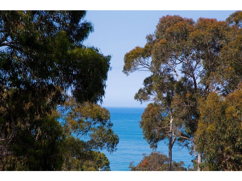 3/11-13 Belvedere Terrace, Lorne VIC 3232