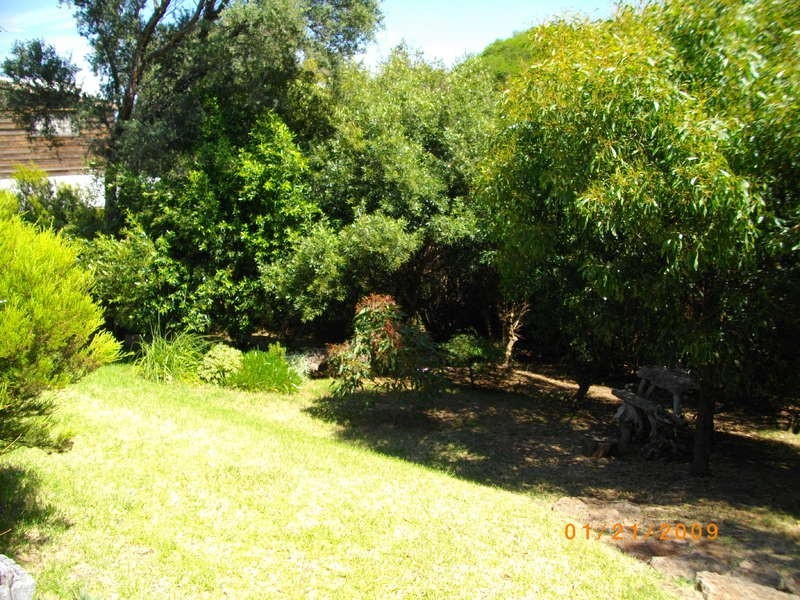 31 Phillip Street, Aireys Inlet VIC 3231