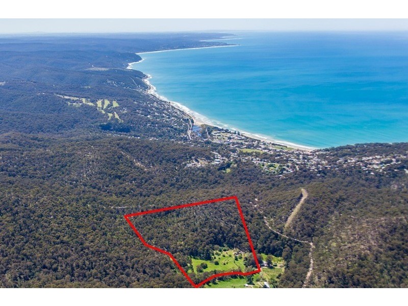 100 Allenvale Road, Lorne VIC 3232