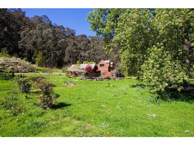 100 Allenvale Road, Lorne VIC 3232