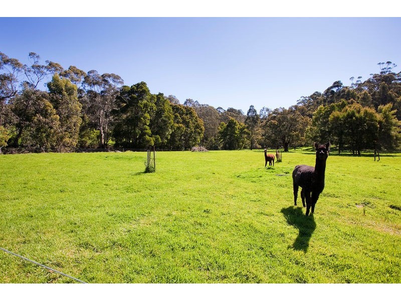 100 Allenvale Road, Lorne VIC 3232