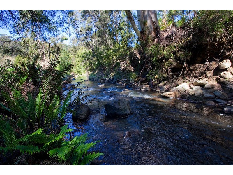 100 Allenvale Road, Lorne VIC 3232