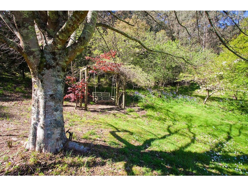 100 Allenvale Road, Lorne VIC 3232