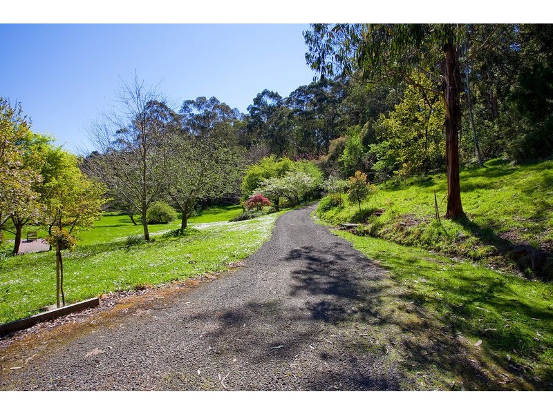 100 Allenvale Road, Lorne VIC 3232
