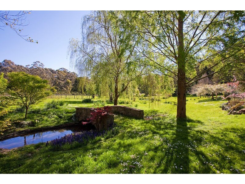100 Allenvale Road, Lorne VIC 3232