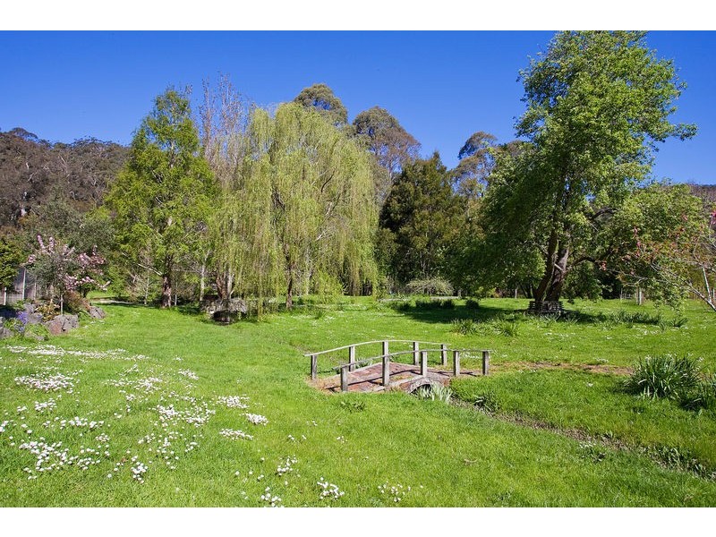 100 Allenvale Road, Lorne VIC 3232