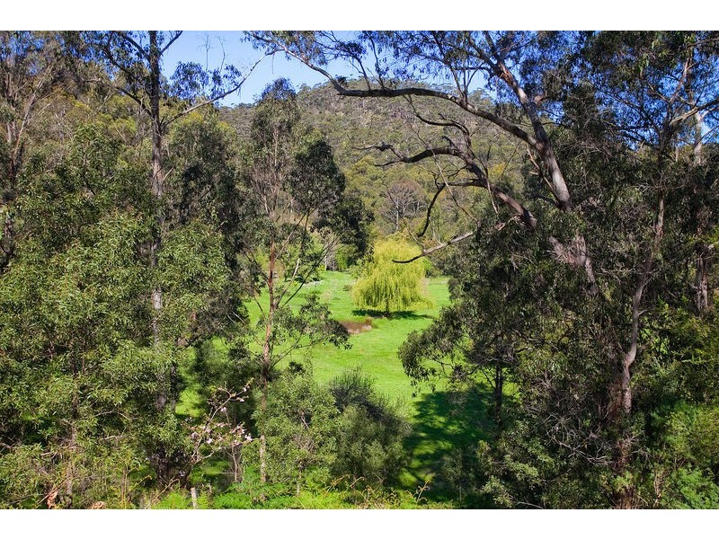 100 Allenvale Road, Lorne VIC 3232