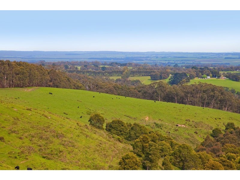 440 Bambra-Boonah Road, Bambra VIC 3241