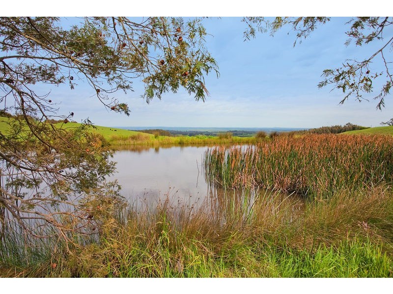 440 Bambra-Boonah Road, Bambra VIC 3241