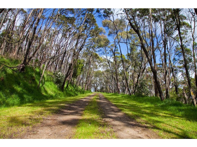 450 Deans Marsh-Lorne Road, Pennyroyal VIC 3235