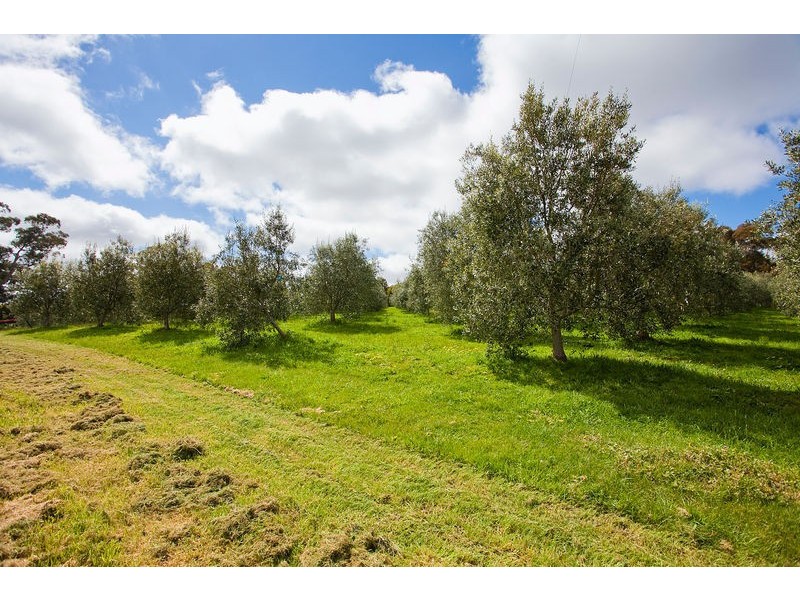 450 Deans Marsh-Lorne Road, Pennyroyal VIC 3235
