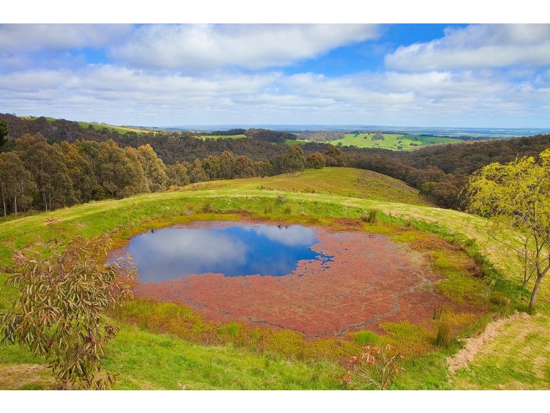 450 Deans Marsh-Lorne Road, Pennyroyal VIC 3235