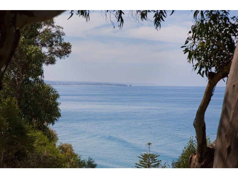 77 Charles Street, Lorne VIC 3232