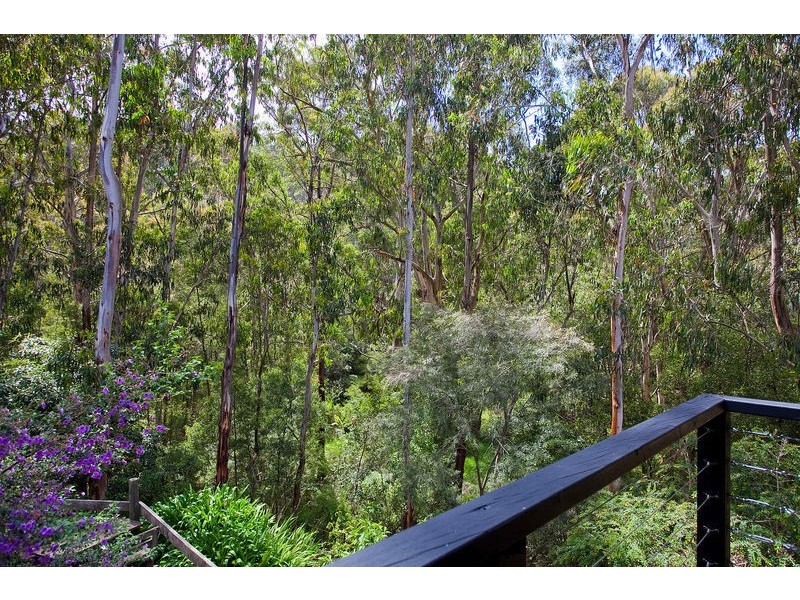 1/6 Richardson Boulevard, Lorne VIC 3232