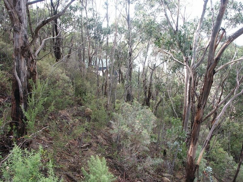 1188 Great Ocean  Road, Lorne VIC 3232