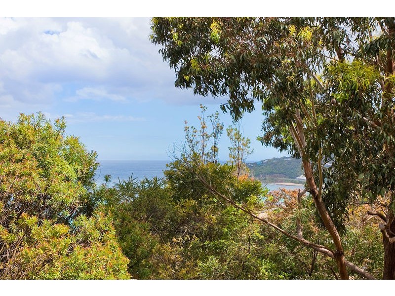 10 Mitchell Grove, Separation Creek VIC 3221