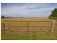 50 Nicholas Lane, Birregurra VIC 3242