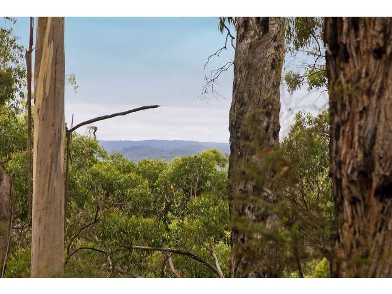 2045 Birregurra-Forrest Road, Forrest VIC 3236